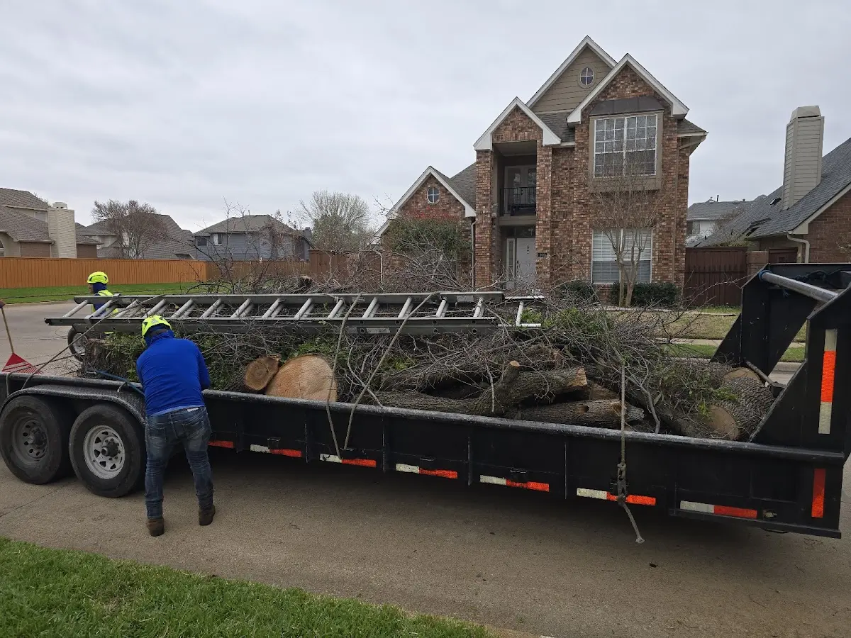 Expert Lot Clearing with proper safety equipment in Ashland